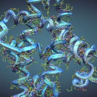 Chain of amino acid or bio molecules called protein - 3d illustration